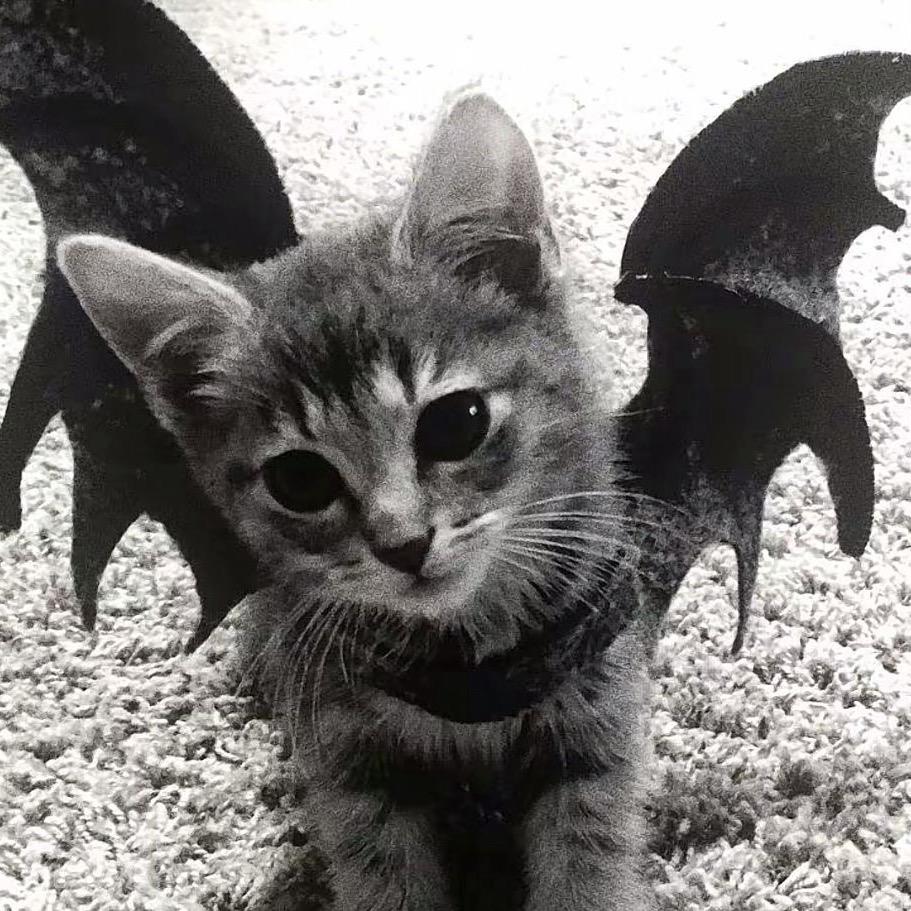 CYMMY