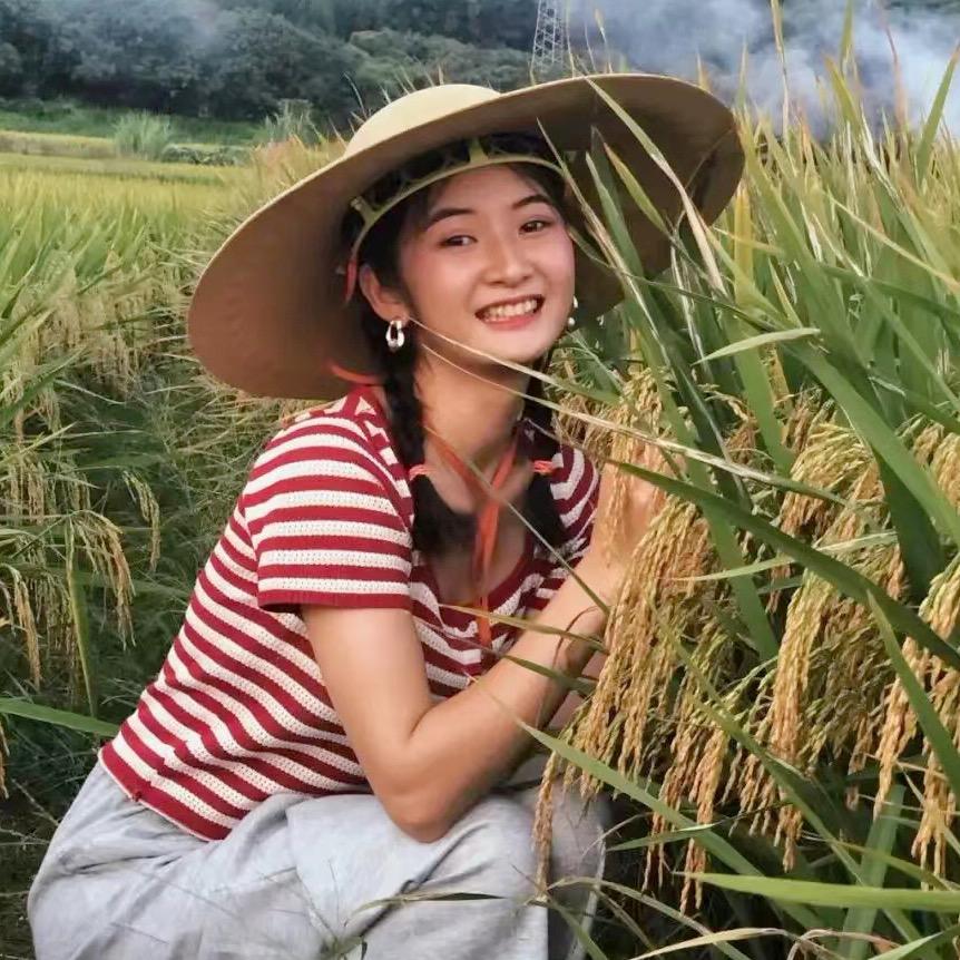 沃尔丰农资小梦