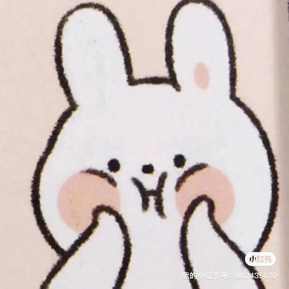 红鹦鹉传媒-大王