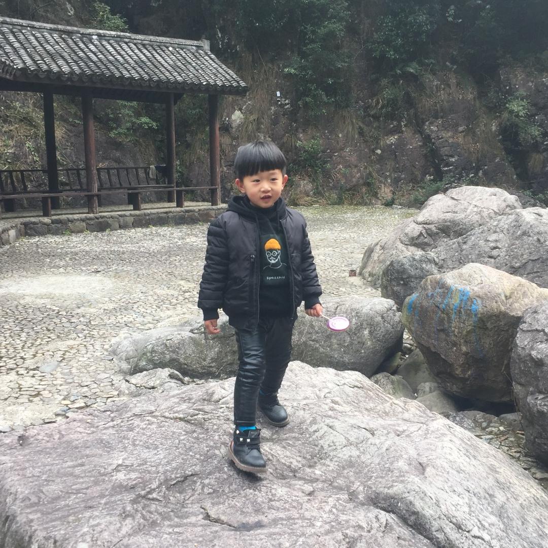 孤城狼心
