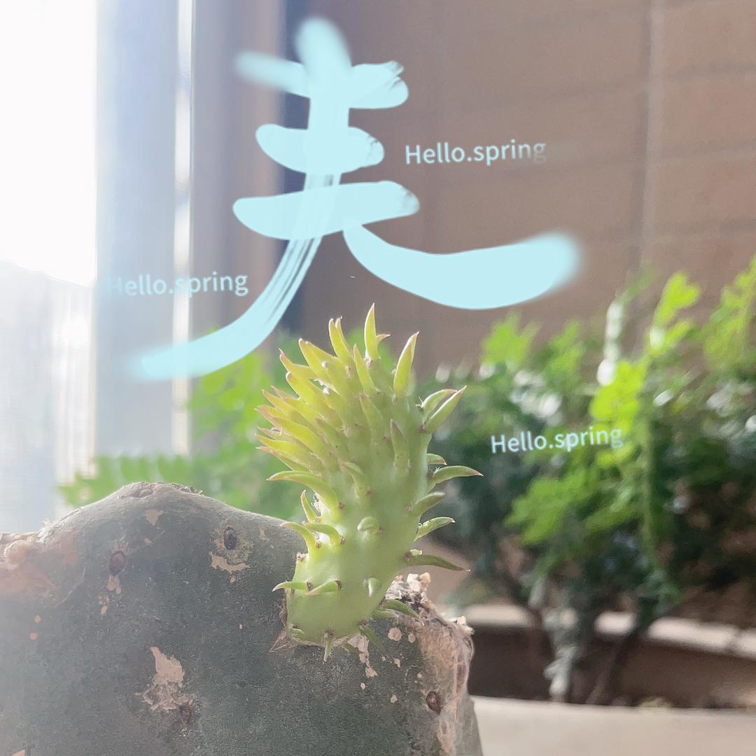 广东河源连平墓地
