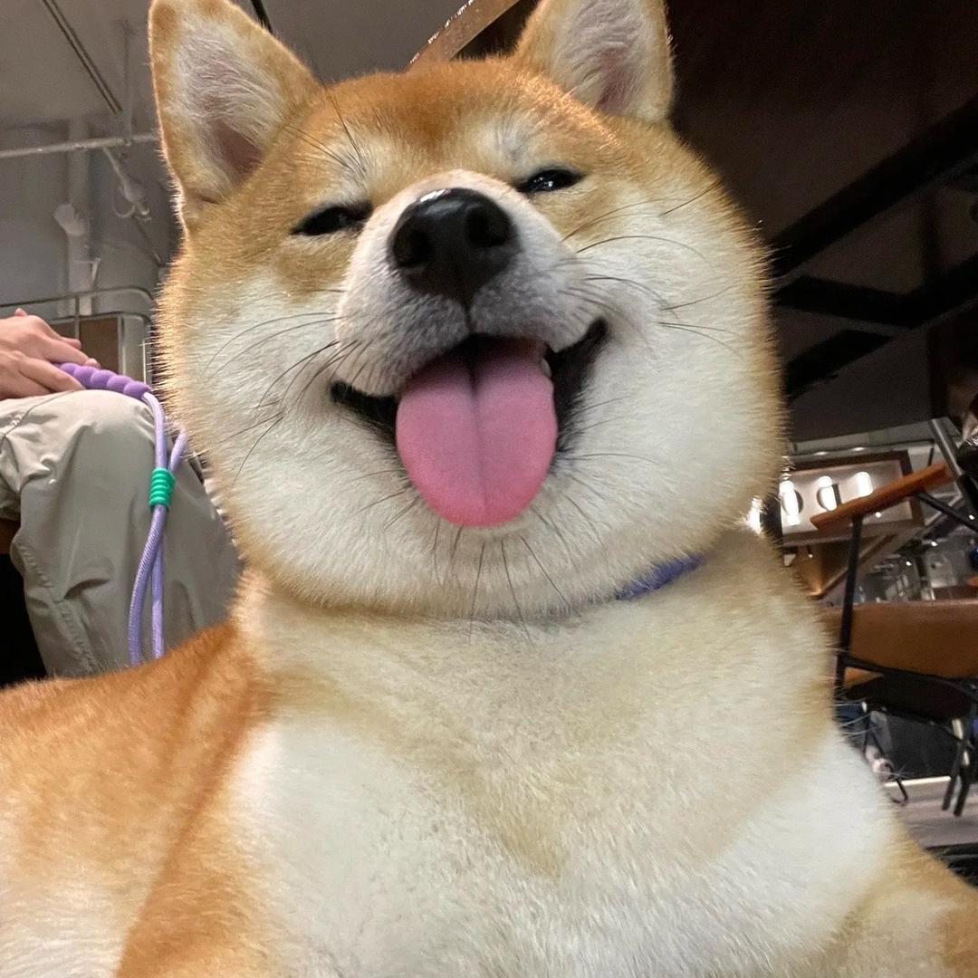㞮孞