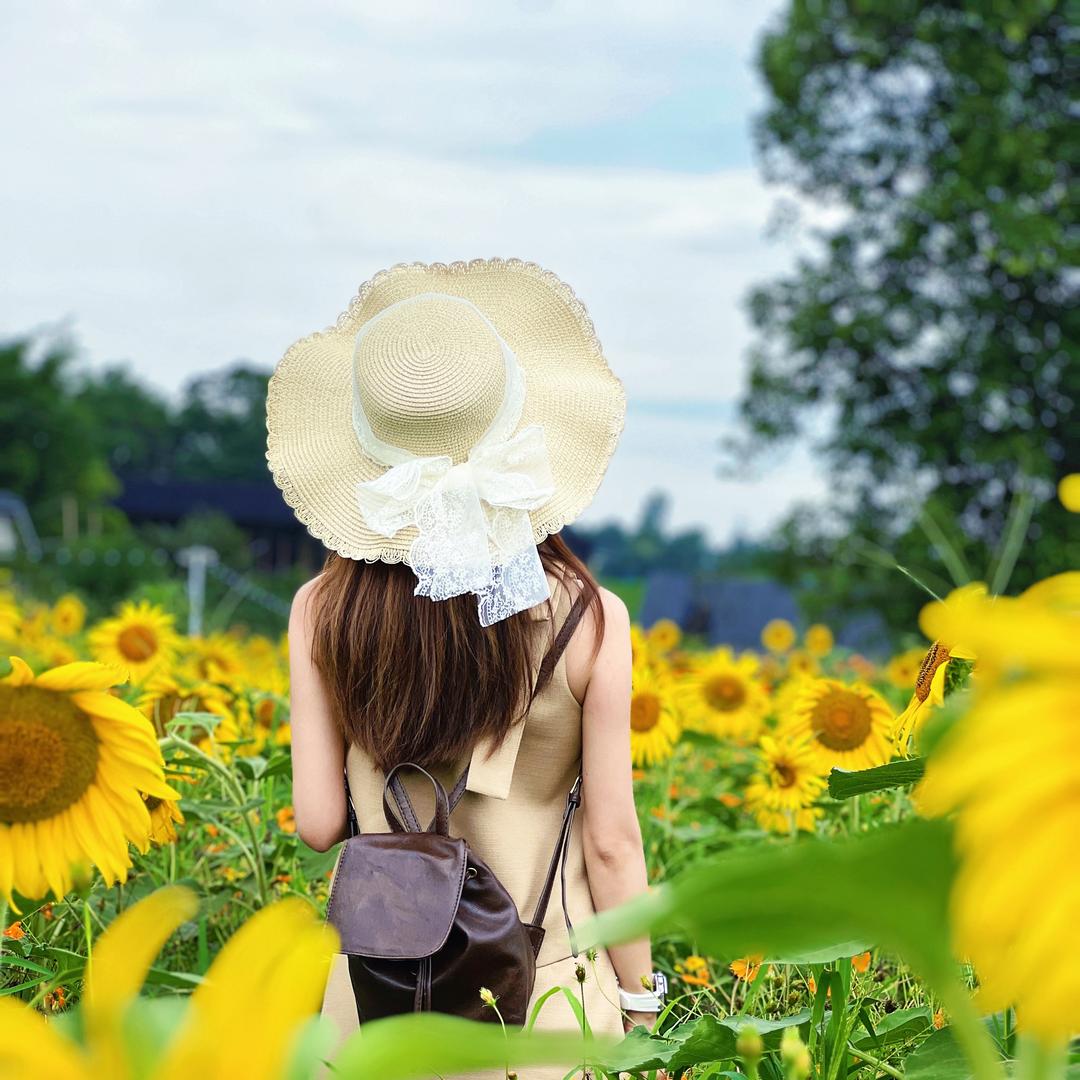 夏天的冰糕#秋天的橘子