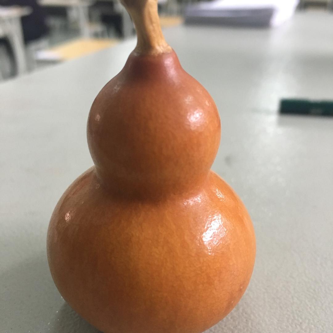 好运涛涛