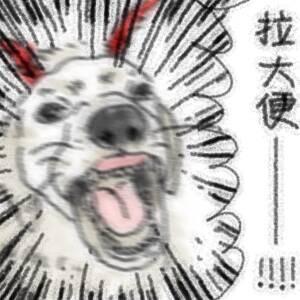 拉💩了吗！！！！！！！