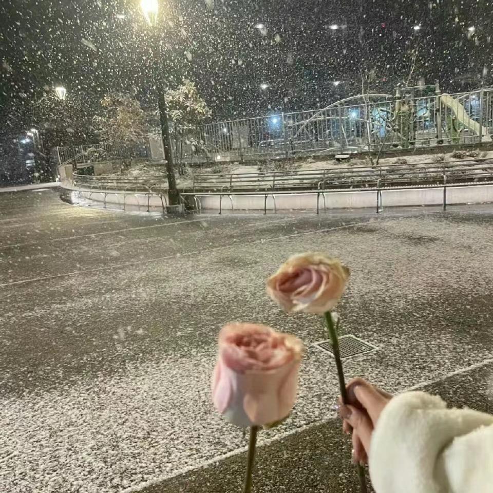 艳艳护肤
