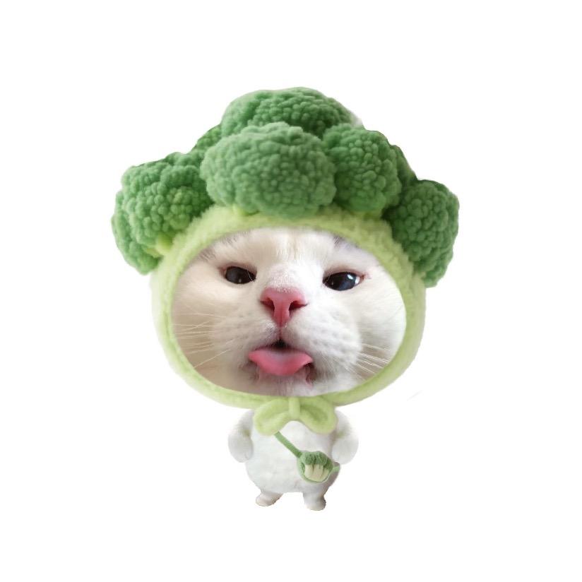 花椰菜
