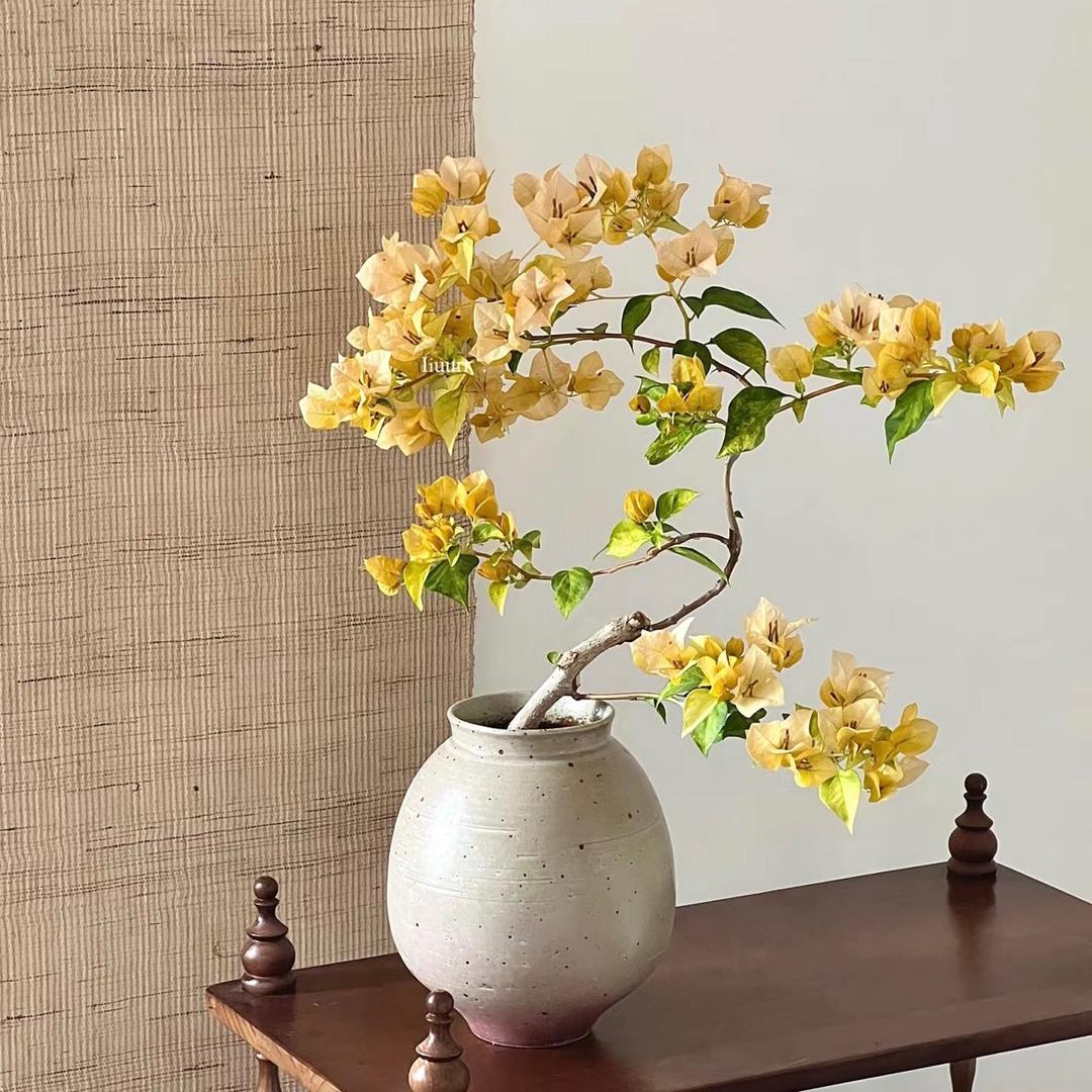 百花园艺