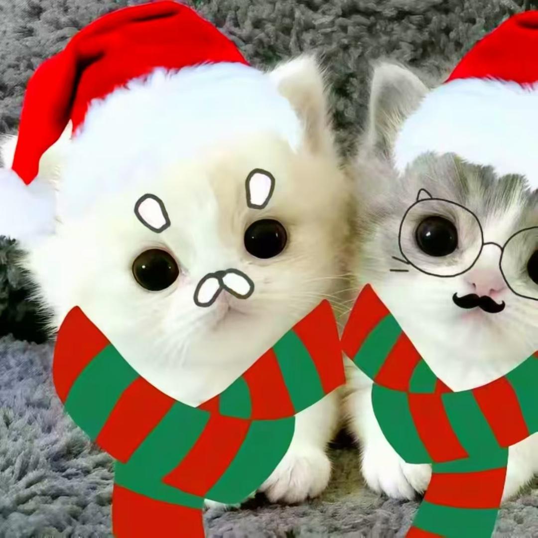 春春U