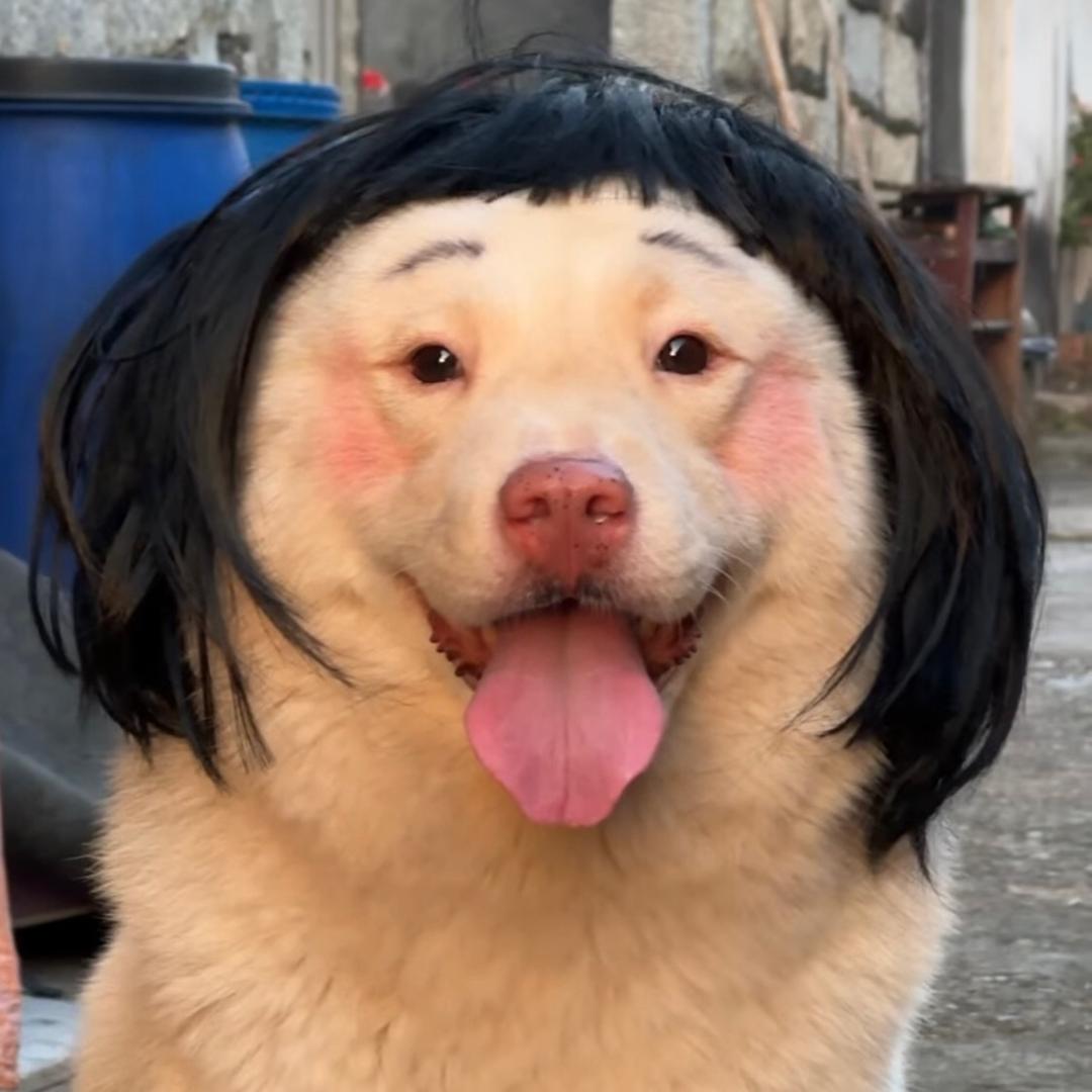装车飞机师