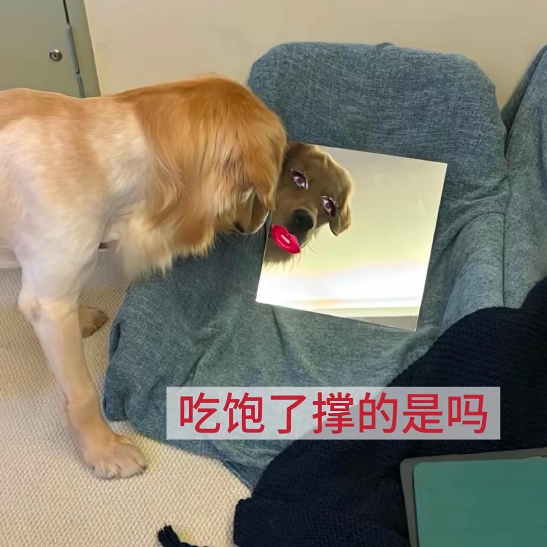 D-富贵儿