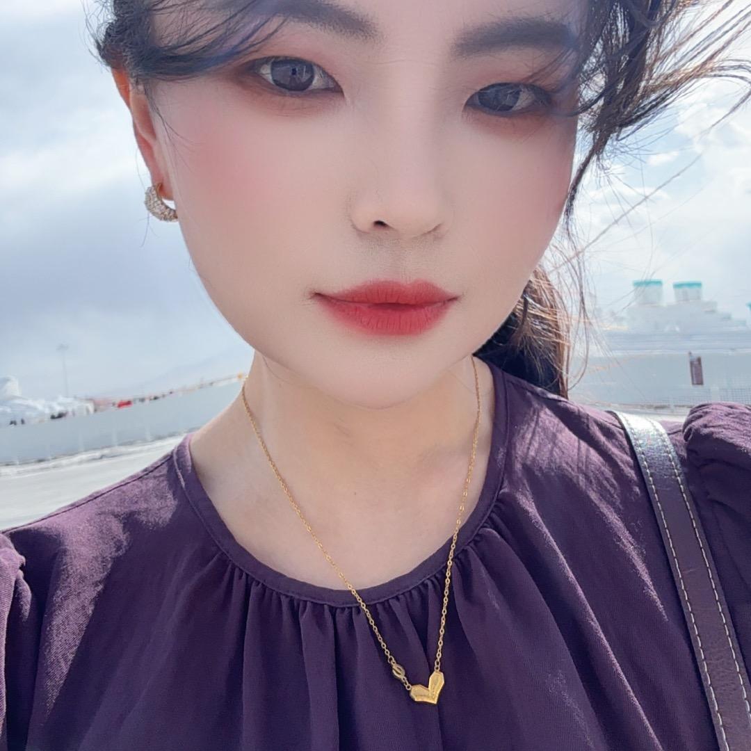 滇芝芸
