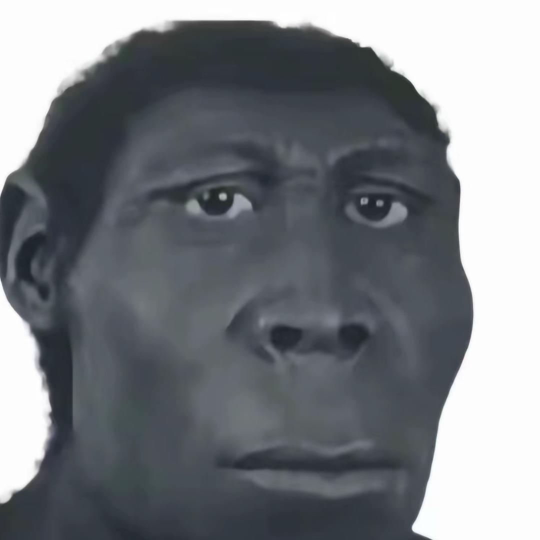 蛋蛋的忧伤🪰