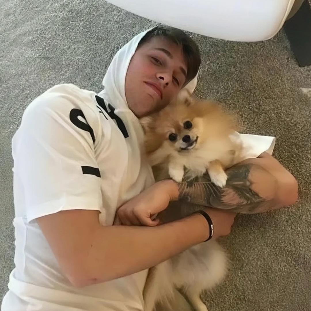 Tloml_tt
