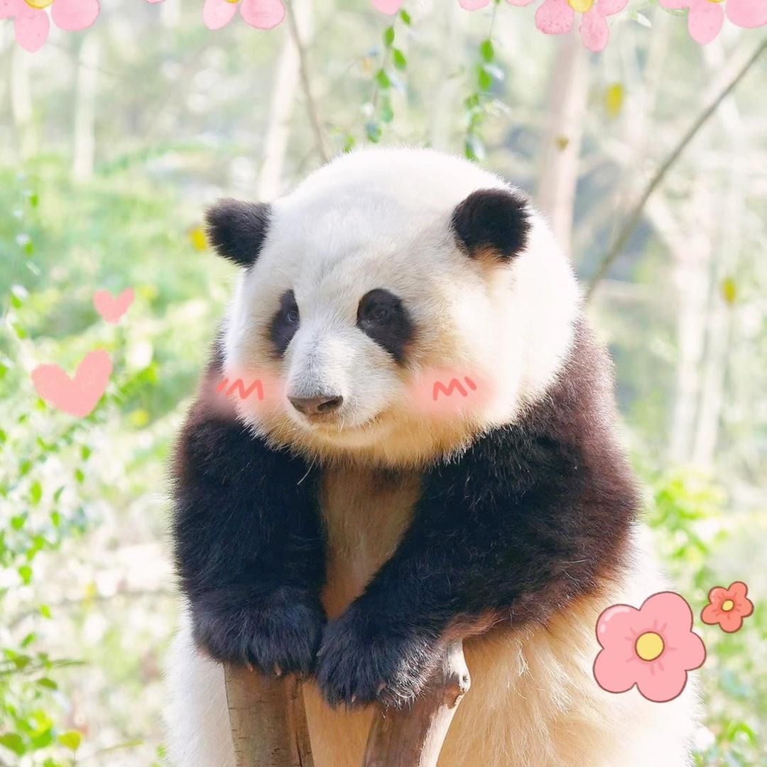 耳环大人