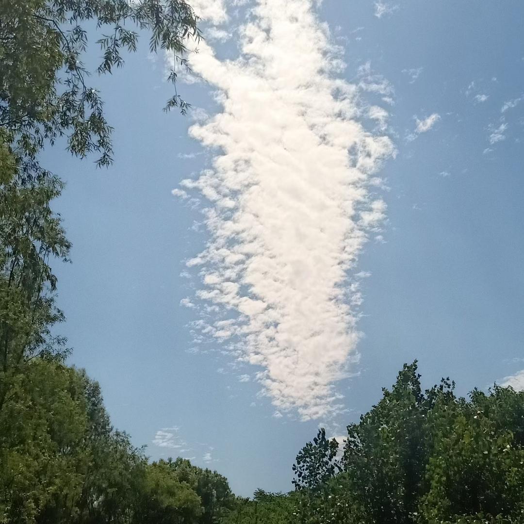 马小样