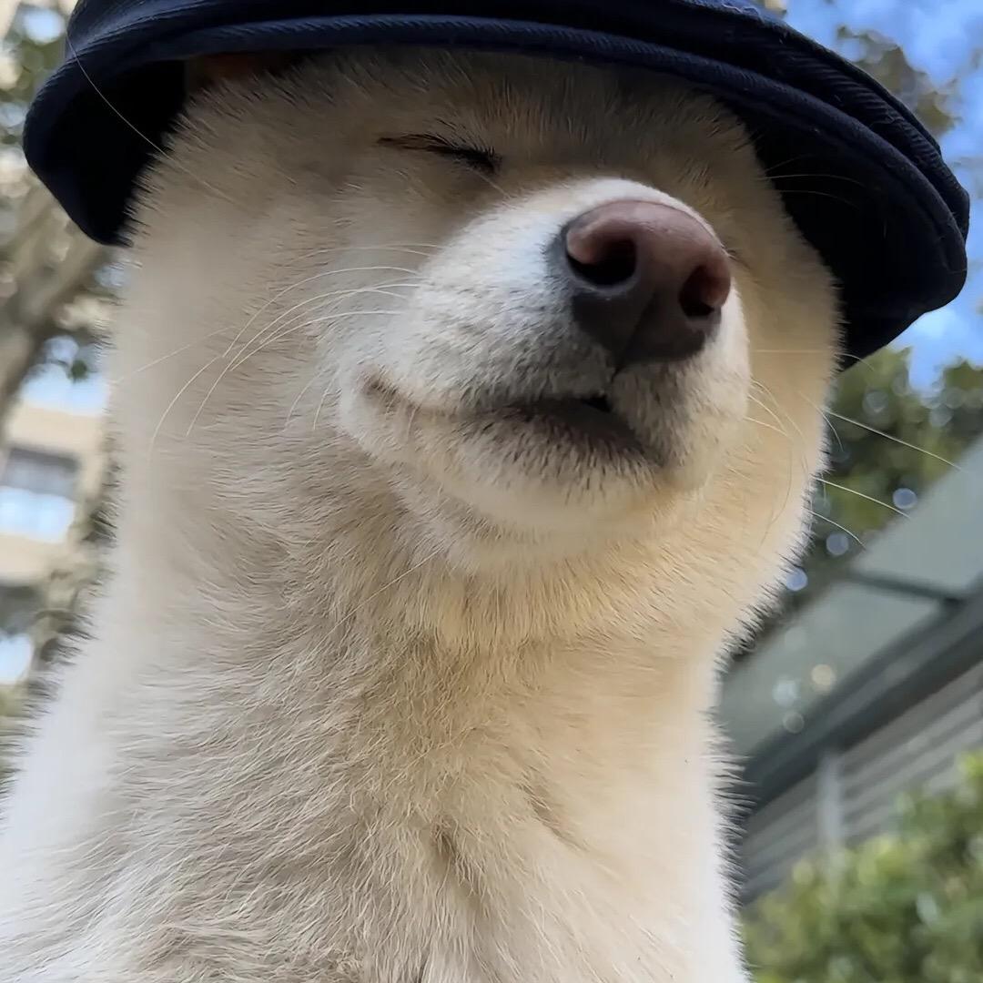 小鱼日记