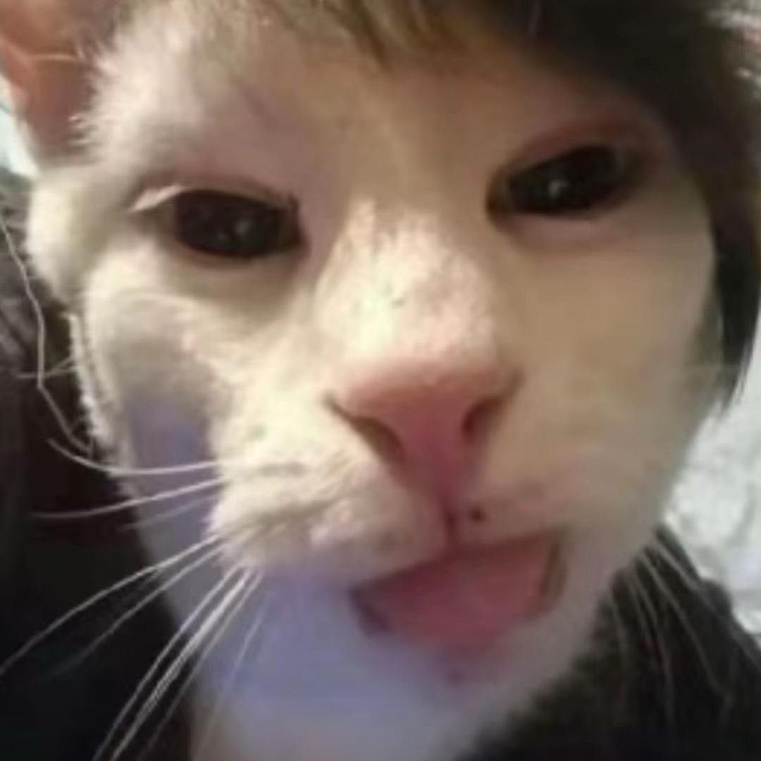 四川留学生🐈‍⬛(^•_•^)