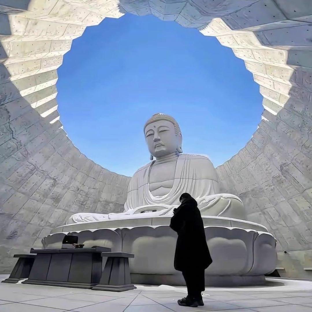 小洋在睡觉