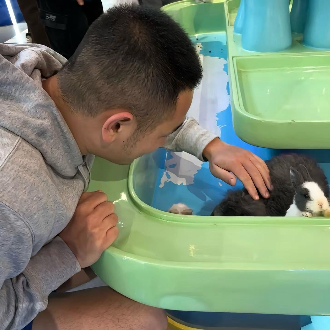 大树底下好乘凉