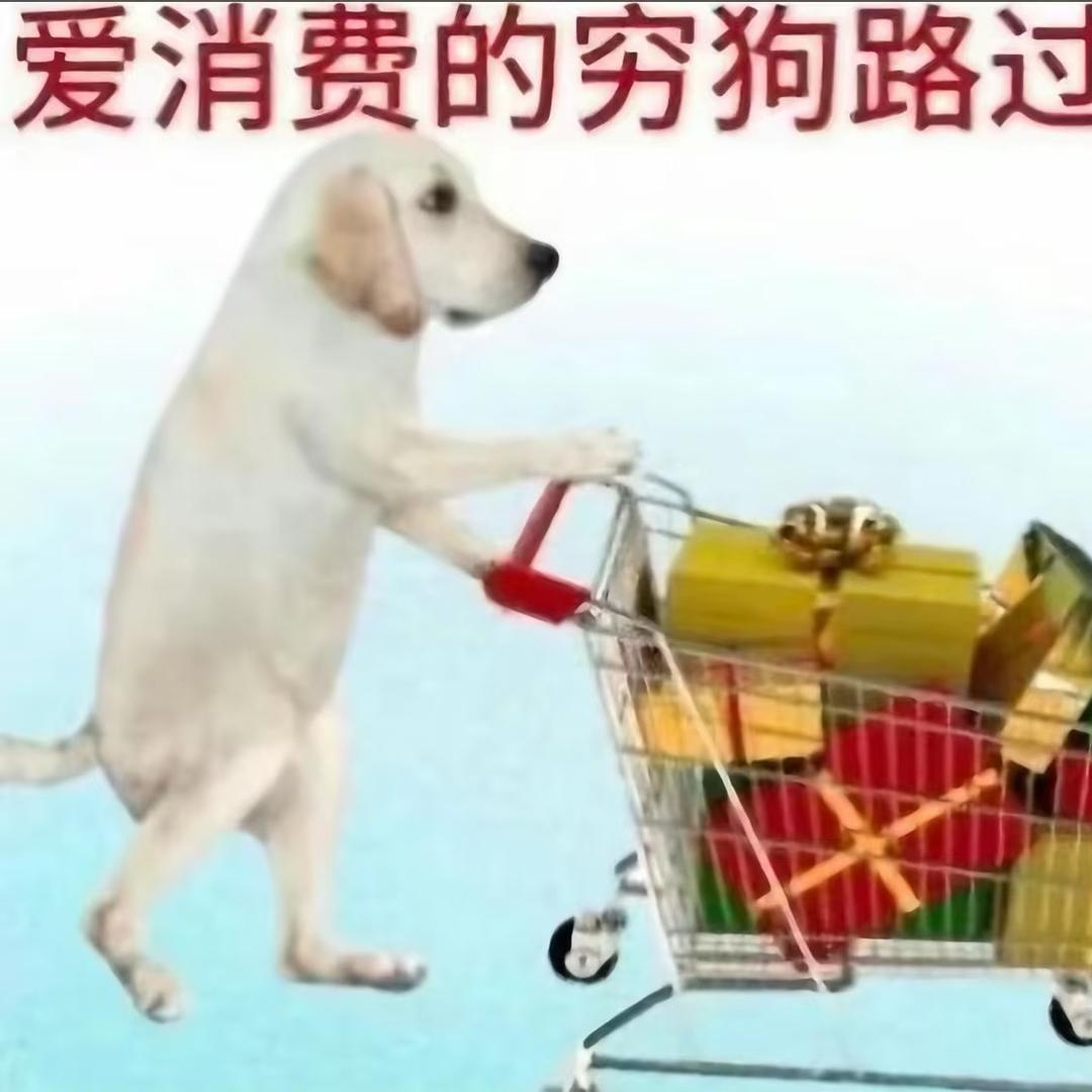 十桉