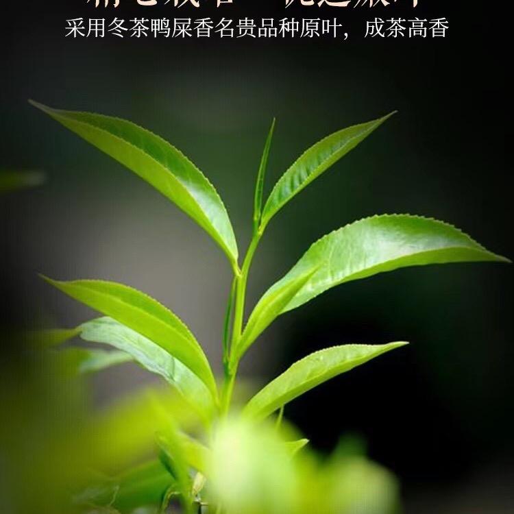 再见八月九月你好