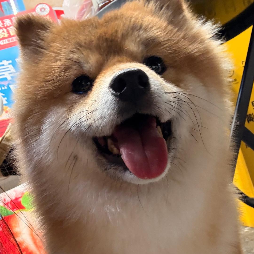 哈哈