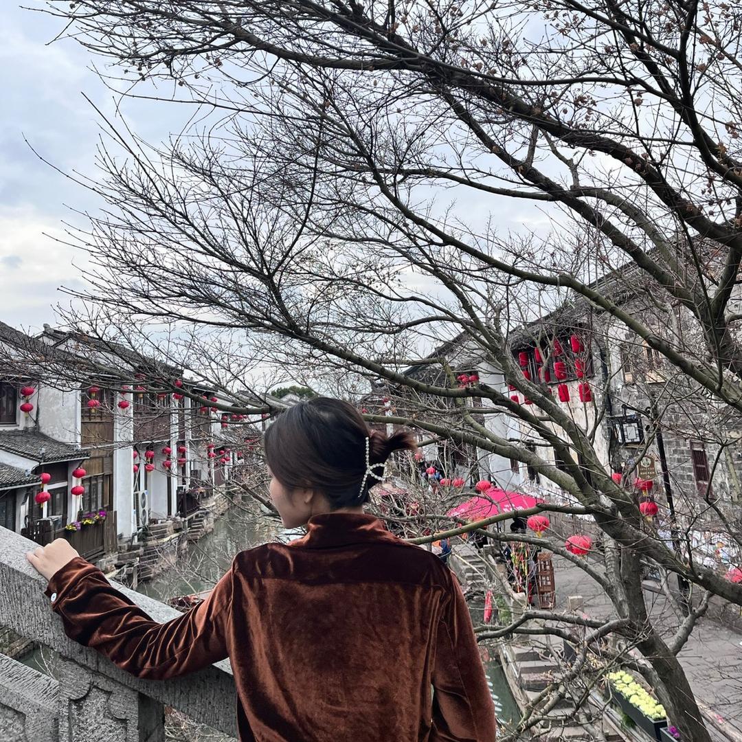 王公子