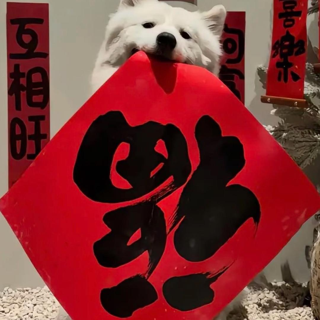 江宁租房