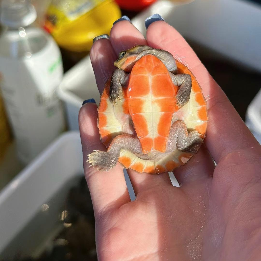 河江顺水产