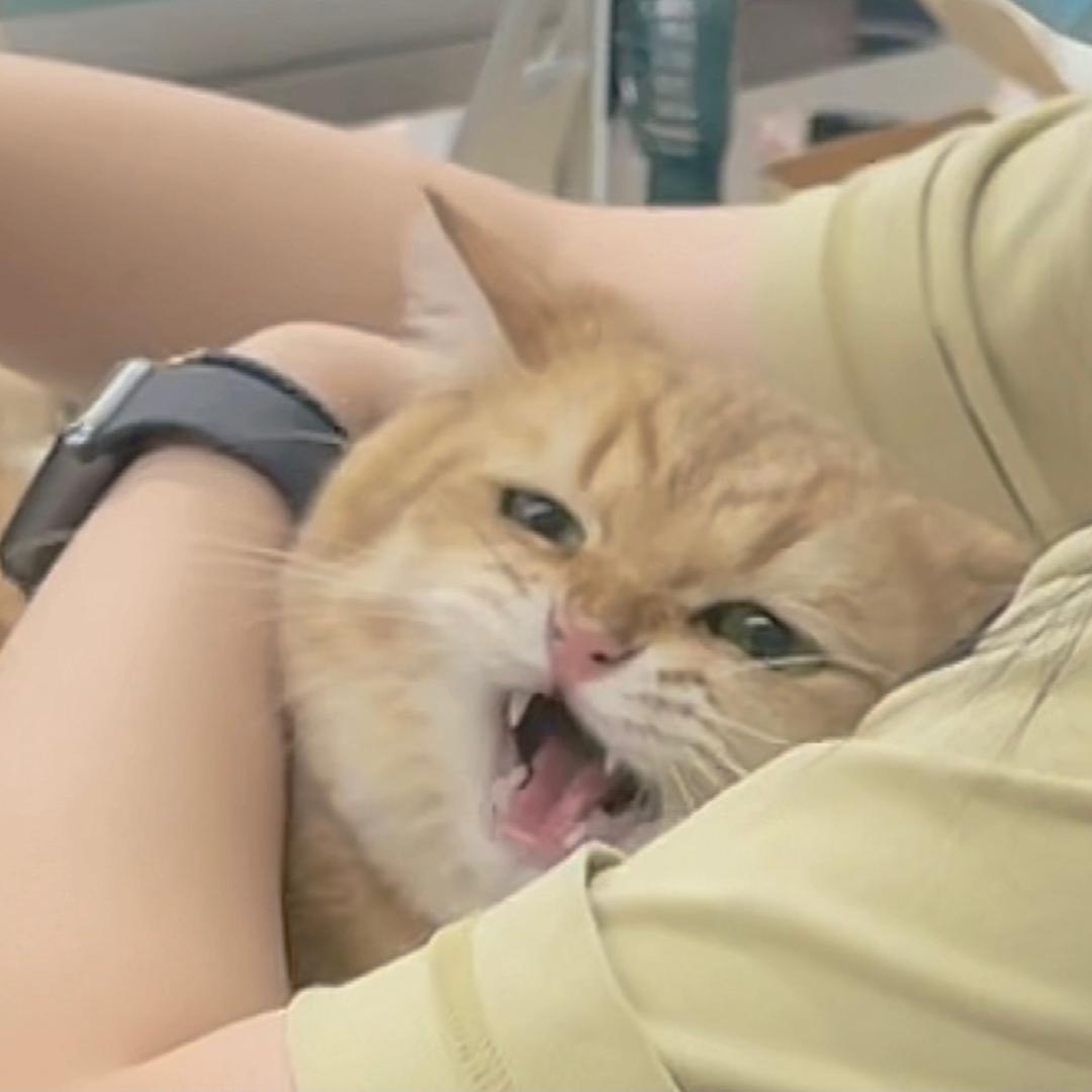 憨憨靓仔