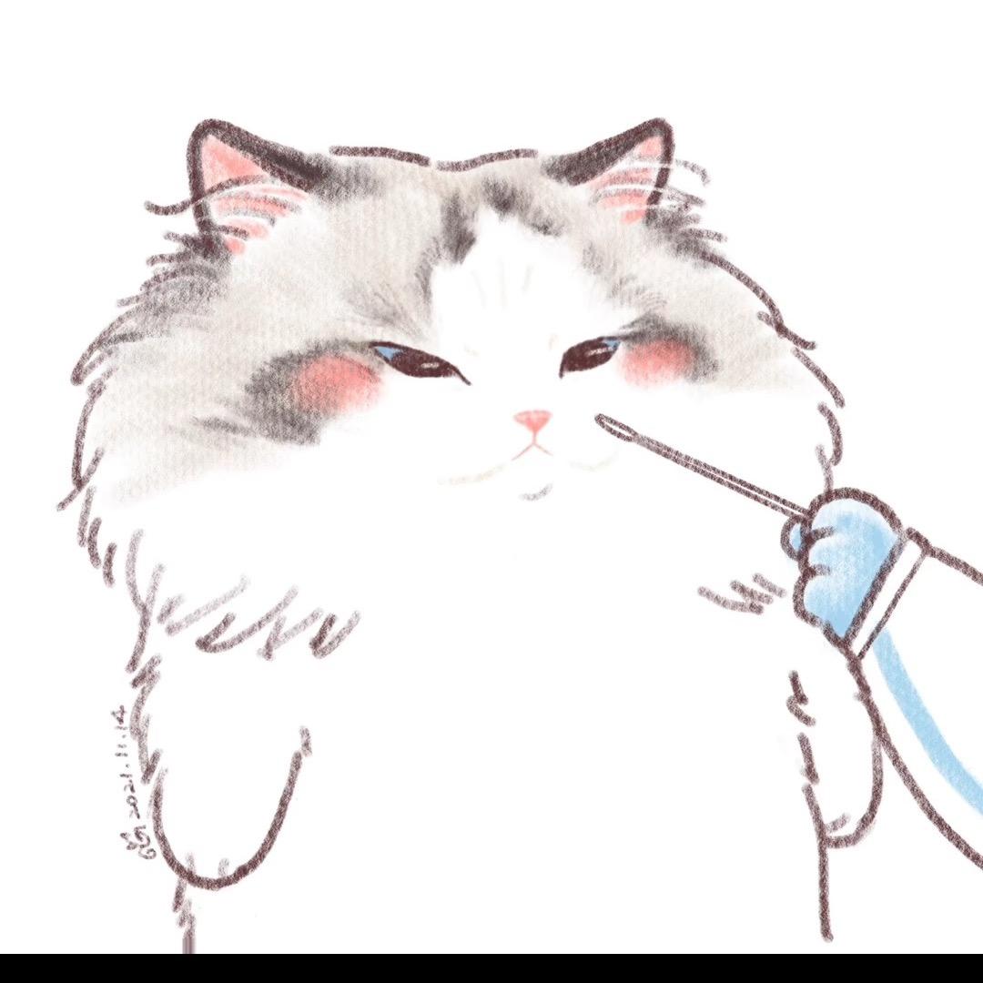 吴小小小妍