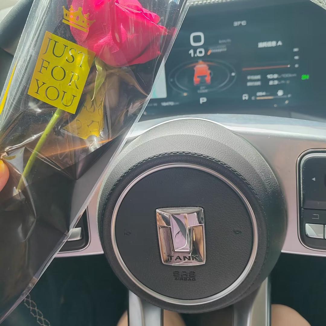 开坦克的小姐姐