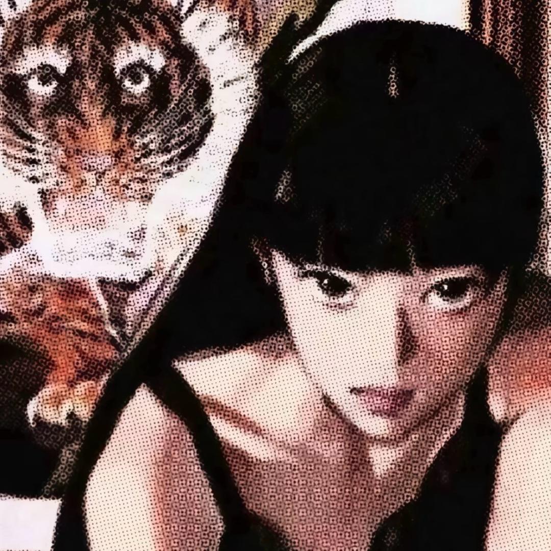 卡莎