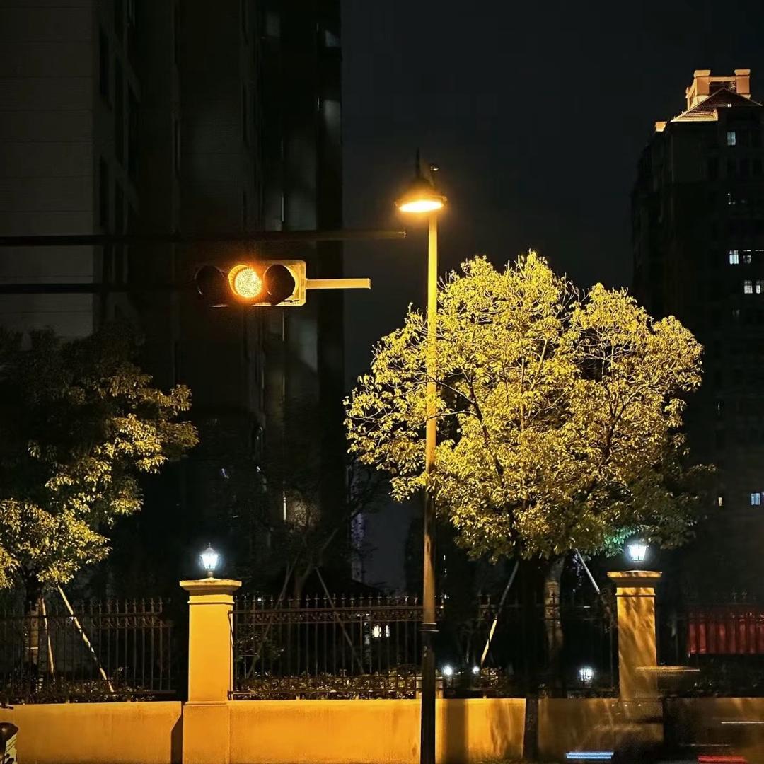 𝐓𝐢𝐚𝐧💭ྀི