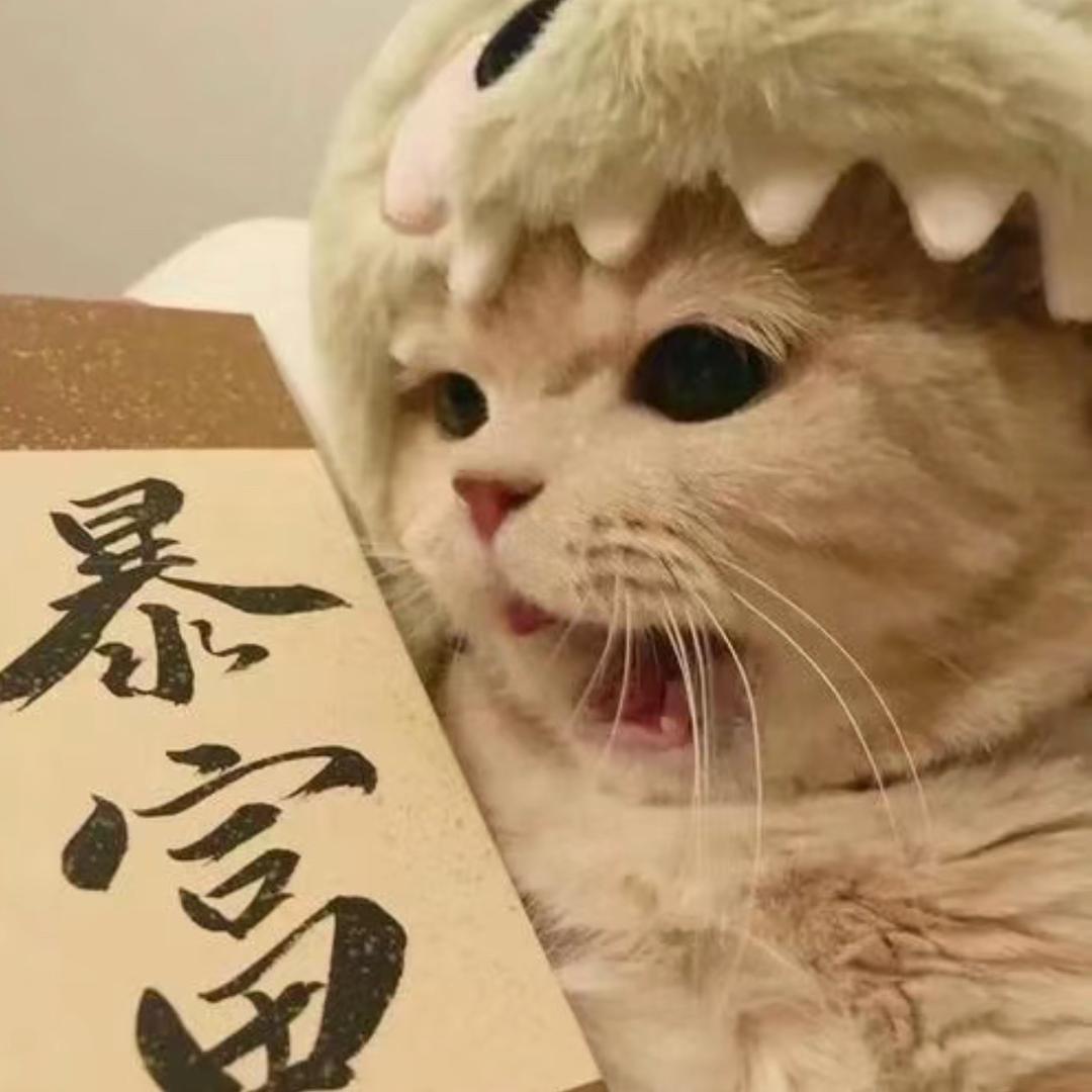 打工人桃子🍑（唐山）