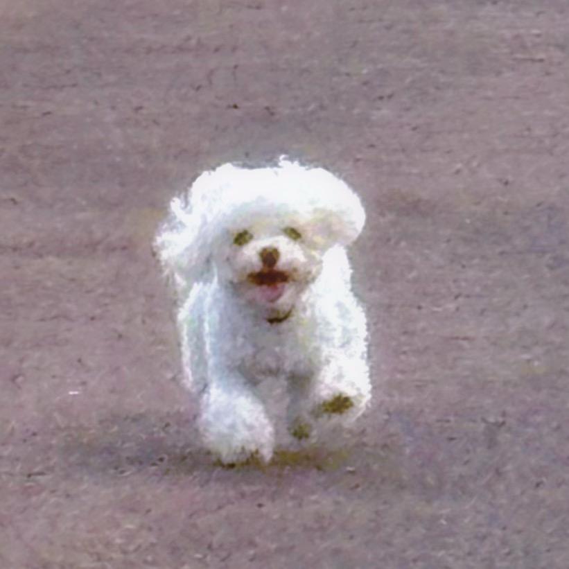 十一宝贝宝贝宝贝