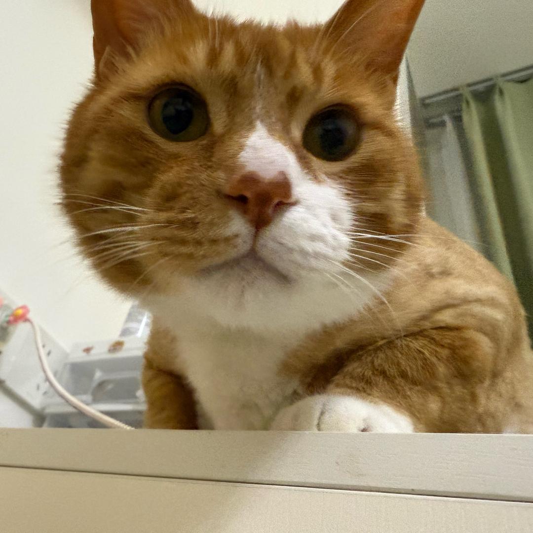 啦啦啦德瑪西亞