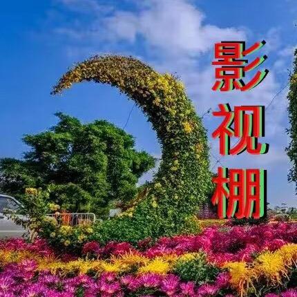 陨石雨季