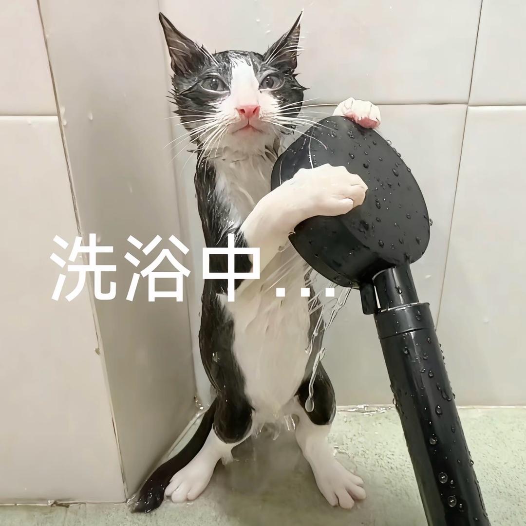 大仙子猛