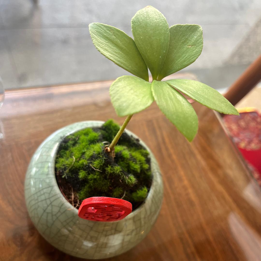 💱小任❤️‍🩹性