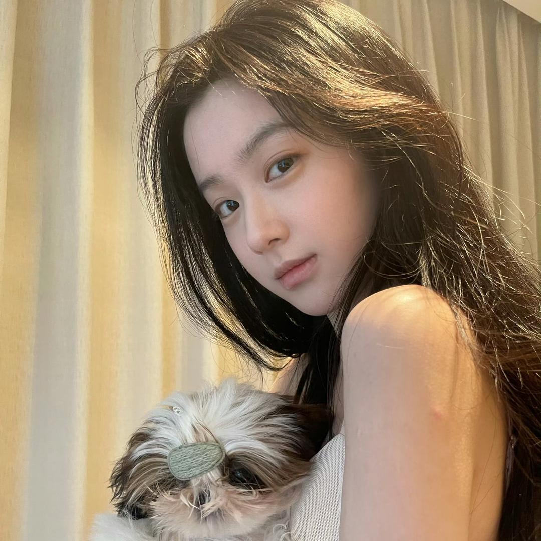 丁是丁猫是猫