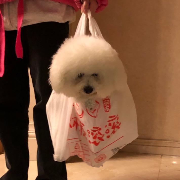 遇见小馆
