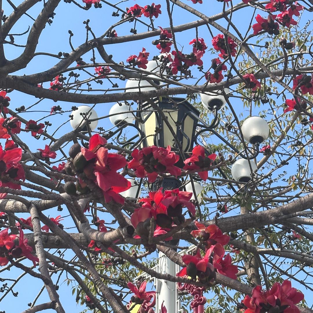 扎一扎，百万财富到你家