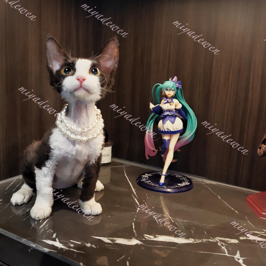 Miya长沙德文卷毛猫