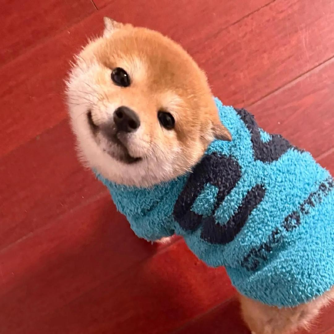 小郁.