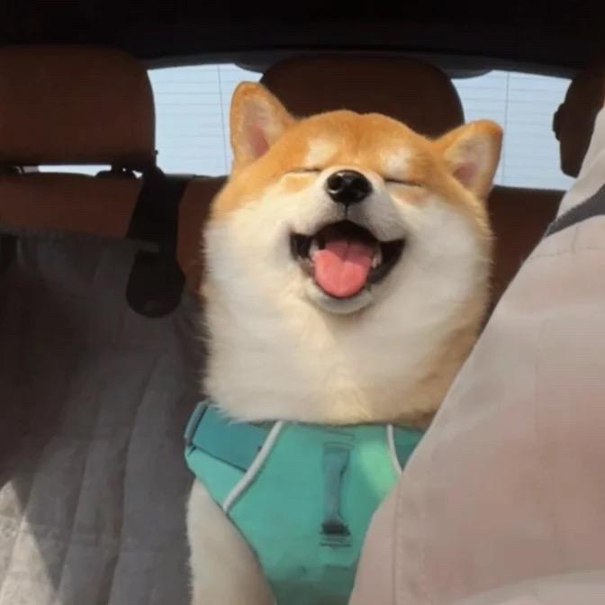 起风了√