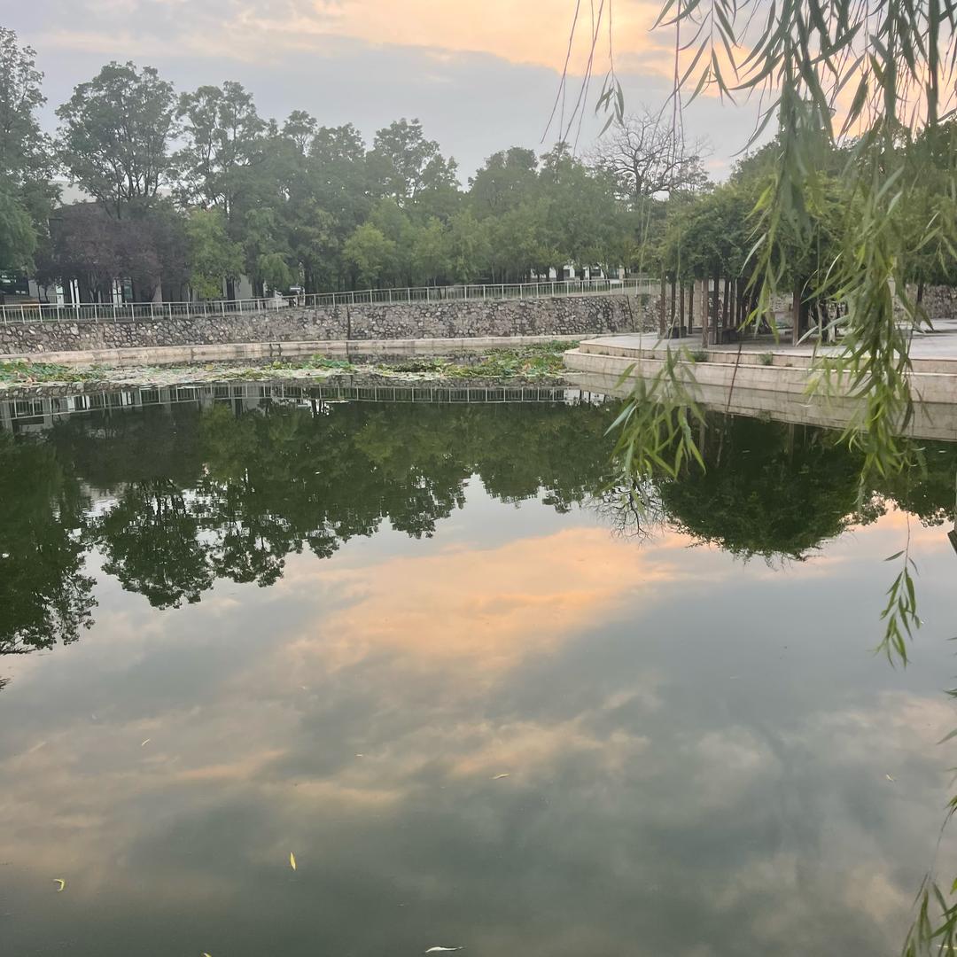 青山好.