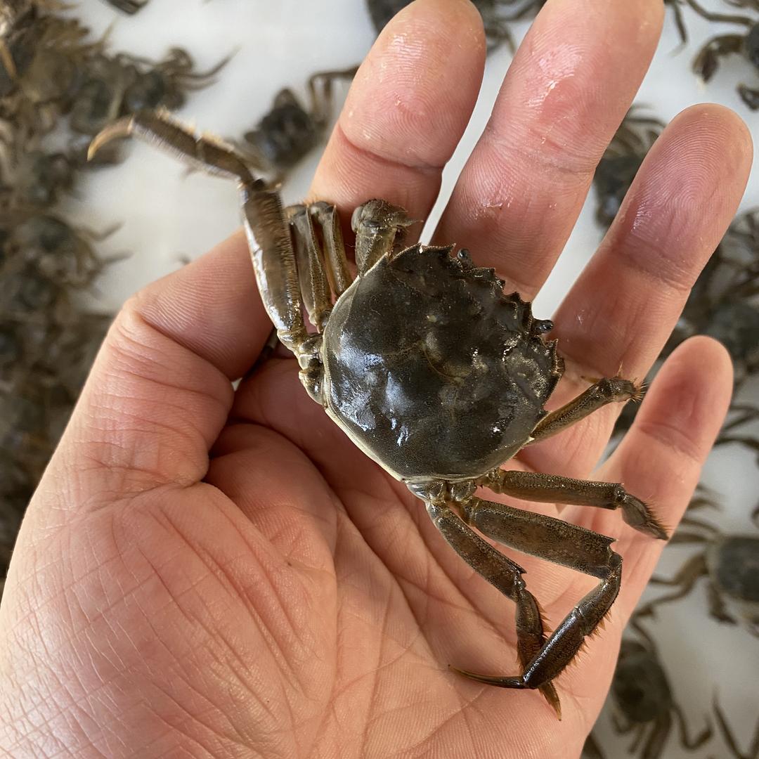 渔之乐水产商行