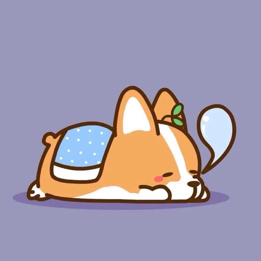 HH✨